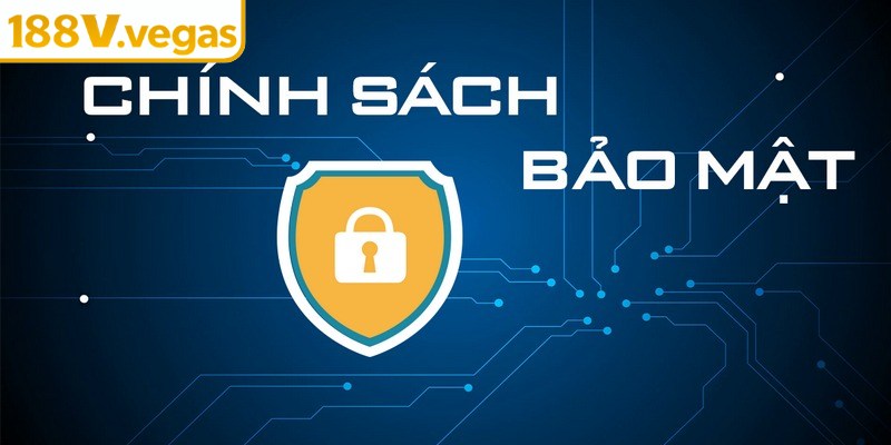 Quy trình thu thập và xử lý dữ liệu trong chính sách bảo mật 188V