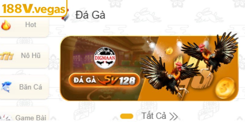Sảnh đá gà 188V đã thu hút lượng lớn thành viên nhờ chất lượng tổ chức cao